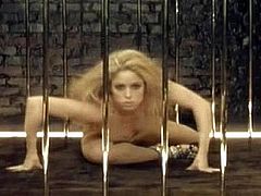 Shakira She Wolf Cage Montage