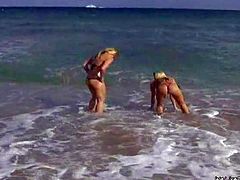 Experienced and seductive curvy blonde bombshell Molly Cavalli wtih big firm hooters and huge juicy ass has fun on the beech with slim blonde babe Alexis and brings her to hotel room