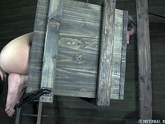 Only Casey's ass and face are hanging out of this bizarre box contraption. Her male master doles out nothing but extreme torture and pain in this video. She is fucked in all available holes and fingered grotesquely by her master.