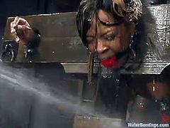 Hot Black girl gets tied up and hosed. After that the guy starts to toy her wet pussy with big dildo and then he puts her in special aquarium filled with cold water.