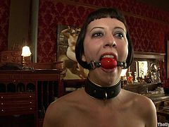 Get a load of this bondage scene where a sexy brunette is tied up as you take a look at her amazing body and get a boner.