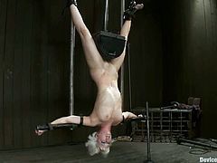 Ariel X and Cherry Torn are the two hot girls getting hung upside down in this extreme bondage video.
