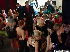 Be ready for extremely hot group sex orgy. A lot of drunk girls suck dick right on the dance floor. Enjoy them all in kinky Tainster porn tube video.