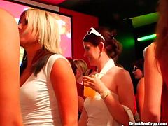 Voracious bitches are dancing and sipping heavy drinks. They are warming up for a hardcore group sex in a same club. Check them out in Tainster porn clip.