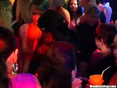 Join this crazy party which is full of slutty hoes. Sexy girls are dancing on a dance floor having fun. One of the girls kneels down taking massive dick in her mouth right on dance floor.