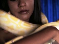 Her body is like a chocolate. Sexy brunette from India is a hot babe who has gutts to play and tame a yellow python all naked.
