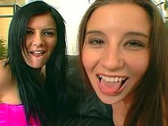 Brunette sluts sharing hard cock as they jerk on it and eagerly wait for that tasty jizz inside their mouth.