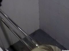 Skanky nerdy blonde chick gives head in public restroom
