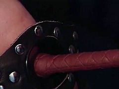 Watch these nasty lesbian bitches playing some hot bdsm games in this hot video. They're always ready to misbehave flaunting their sexy tits and amazing booties.