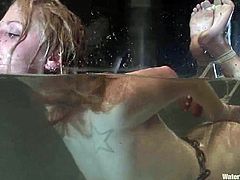 This busty and booty blond siren is being treated like trash! Honey gets hogtied and then her master throws her in the immersion tank!