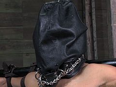 Cheap whore Sheila receives the treatment she deserves. She's down on her knees with a bag on her head and awaits the executor. She doesn't need to wait long because a black guy comes in, approaches and takes off the bag to fuck her throat with his bbc. That was only for the warm up,. Join us and watch more.