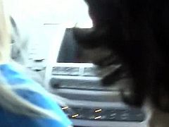 lovely babes sucking dick in car