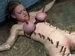 Busty Darling gets her tits twisted with ropes so that they become dark red. Then she gets watered and tortured with clothespins fixed to her body.