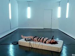 The strapped girl Melody Jordan is going to suffer some electrical torture and will be face sit by Chanel Preston in this lesbian femdom clip.