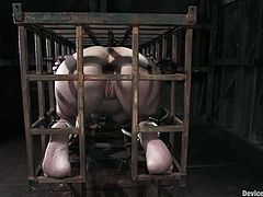 Sexy brown-haired girl with a ball gag in her mouth gets undressed and toyed. After that the guy puts this bitch in the cage.