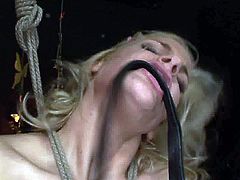 Kinky blondie is the owner of big boobies. Spoiled chick gets tied up with ropes and horny brunette pins her nipples with some metal stuff. Check out curvy long legged dykes in 21 Sextury xxx clip to jack off and jizz at once!
