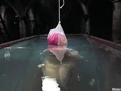 Nasty girl with pink hair gets tortured by her master in water bondage video. She gets tied up and choked in an aquarium.