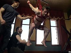 This dude gets tied up and blindfolded by other guys. Then Andrew gets his dick sucked and ass stuffed with massive dildo.