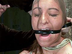 Hot brunette girl stands on her knees and gets face fucked by her master. Later on she gets tied up and gagged.
