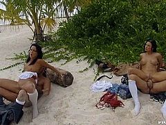 Gorgeous brunettes Nikky Rider and Simonne Style and their men are playing a role-play game on a beach. They all wear pirate costumes and have awesome oral and anal sex.