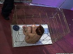 Playful chick is always up for some kinky sex games on cam. So this time she has got in the small cage with less space. Her master thrusts his dick through the hole in the cage getting hot blowjob.