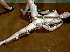 If you love watching how Lorelei Lee tortures girls, then you must watch this incredible BDSM scene with her, humiliating Coral Aorta.