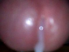 New cumshot