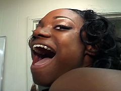 Ebony whores gulping for white cock as they strip all their clothes and went to their knees to serve horny daddy. They suck him non-stop then taking turns riding that dick deep in their wet cunts.