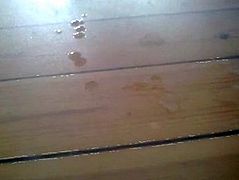 Scandinavian Boy 2013 No 160