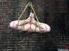Petite girl gets her nipples tortured. Later this bound girl gets suspended and gagged with a mask. Later on she also gets her vagina toyed.