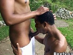 Two salacious black faggots are having fun outdoors. They suck each other's schlongs and then have sex in side-by-side position on the grass.