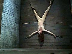 Slim brown-haired chick mma Haize allows some guy to tie her up in a basement and suspend her. Then the guy attaches clips to Emma's tits and they both seem to enjoy it.