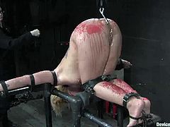 Bosomy brunette Claire Adams and slutty blonde Sara Faye get bound and tormented in a basement. Some man pours hot wax onto the chicks' bodies and then smashes their cunts with toys.