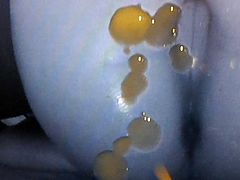 Tribute to my girl 1