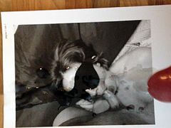 Tribute for Brianusmc