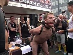 Jason Miller, Sebastian Keys and many other poofters are having fun in the street. The dominators bind their slaves, beat their butts brutally and then mouth-fuck the gay bitches and pull them by cocks and balls.