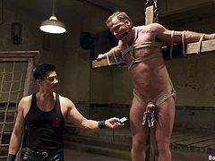BDSM is what they love doing and they came in there with a purpose to get tortured and fucked by men! That's fucking ridiculous!