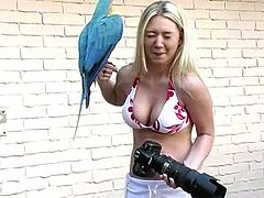 Alison Angel has a vacation in Hawaii. She plays with parrots there. Of course she is in the bikini all the time because it is very hot there. She also fondles her pussy through the shorts.