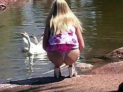 Nice blonde chick in pink dress shows her titties. After that she lifts the dress up to show the ass. She watches at swans swimming in the lake.