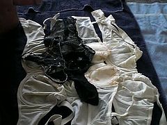 auf slips der stute von user Redbull89 gespritzt