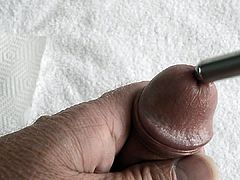 12mm Sound Cock Stuffing