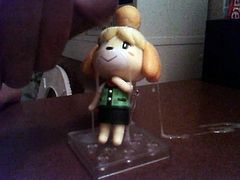 Isabelle demands cum