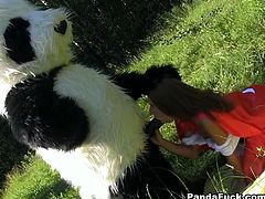 Frantic beauty wearing red hood meets cocky guy in panda costume in dark forest. She has nothing to do but to suck guy's huge dick.