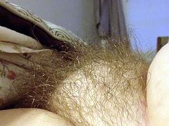 wifes tall hairy pussy pubes