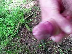 Outdoor cum