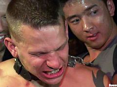 Insatiable poofters Tristan Jaxx, Shane Frost and their friends are having a party. The queers bind a handsome stud, make him suck their dicks and then drill his asshole in missionary position.