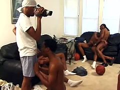 A group of black poofters are having fun in the living room. They suck each other's schlongs and then fuck in missionary position on the sofa.