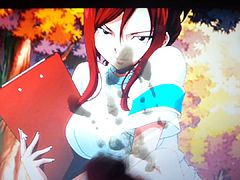 SoP on Erza Scarlet from Fairy Tail