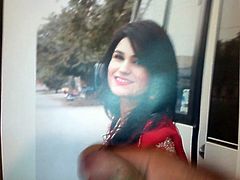 Tribute for Tribute Luver