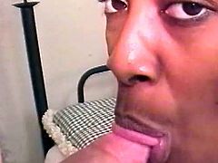 Dude, I'm dating with insatiable black chick who always wants to stroke my meaty cock! Watch how she strips and provides me with hot blowjob in POV video!